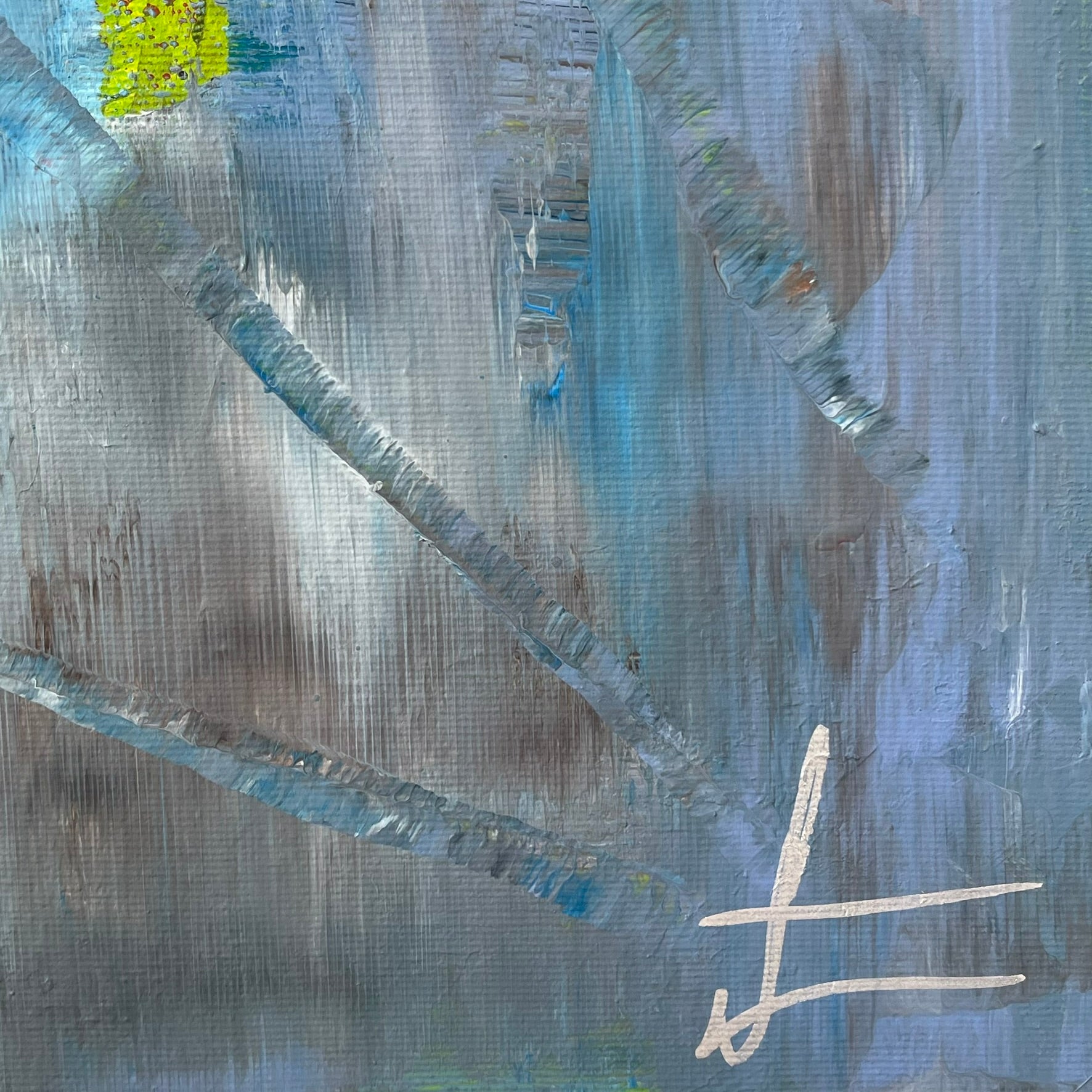 Transformation 077